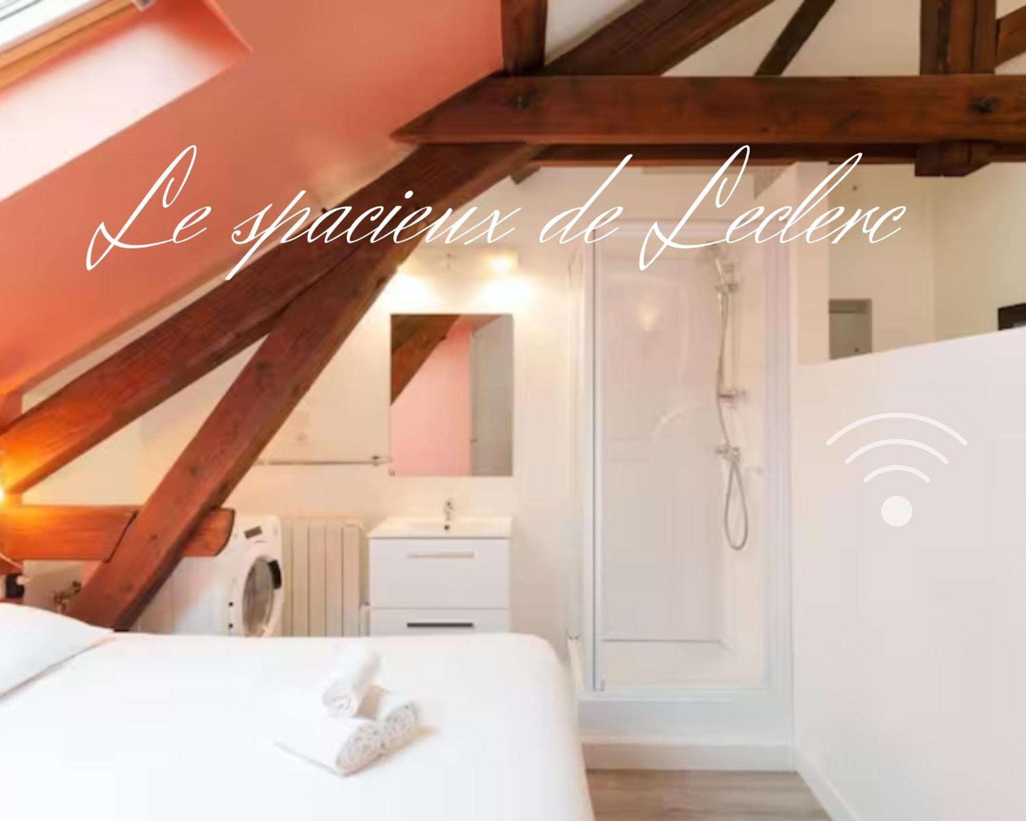 Residence Leclerc - Appartements D'Hotes - Secteur Thermal Nancy Chambre photo